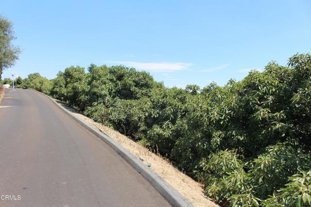 MLS #V1-31982 image #63