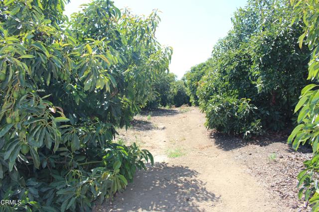 MLS #V1-31982 image #64