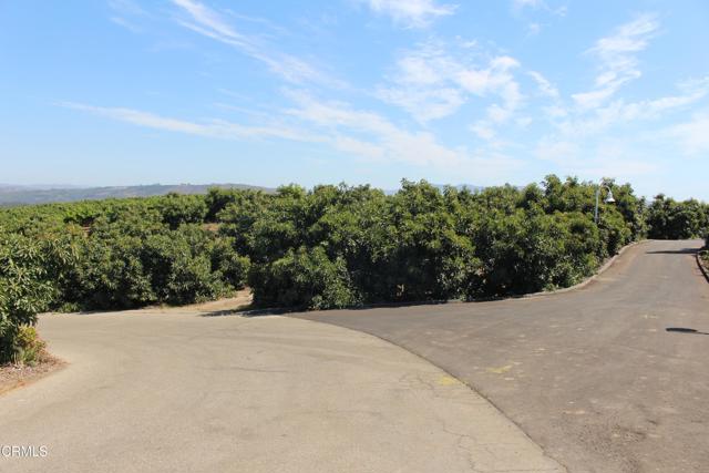 MLS #V1-31982 image #65