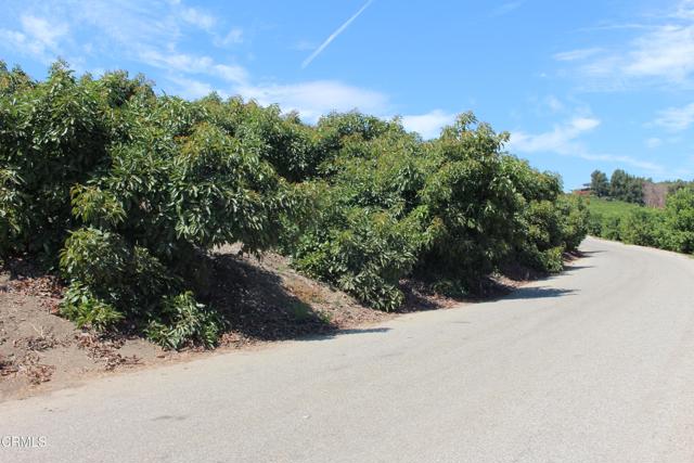 MLS #V1-31982 image #66