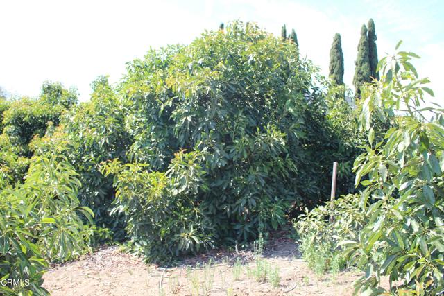 MLS #V1-31982 image #67