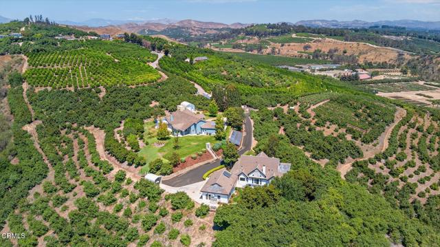 MLS #V1-31982 image #7