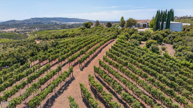 MLS #V1-31982 image #8