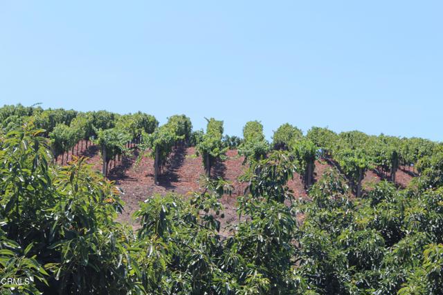 MLS #V1-31982 image #9