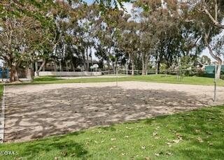 MLS #V1-31988 image #9