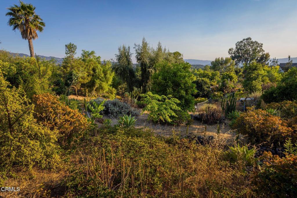 MLS #V1-32031 image #32