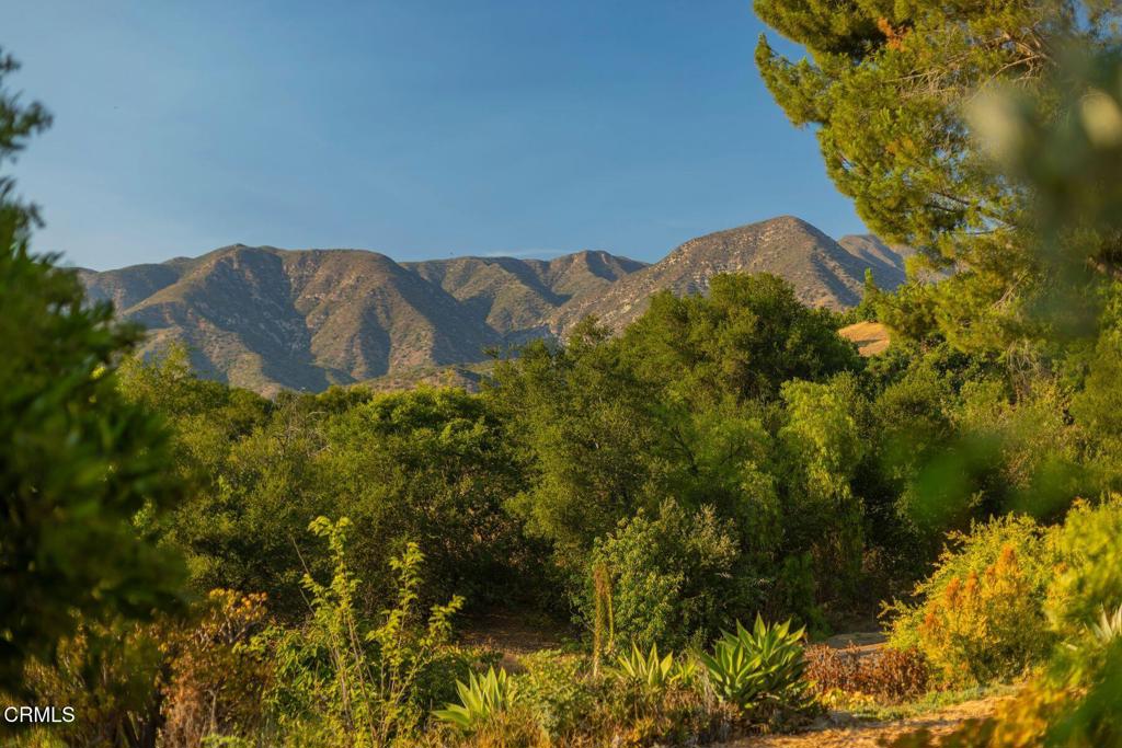 MLS #V1-32031 image #43