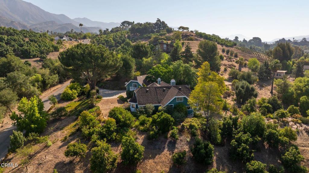 MLS #V1-32031 image #44