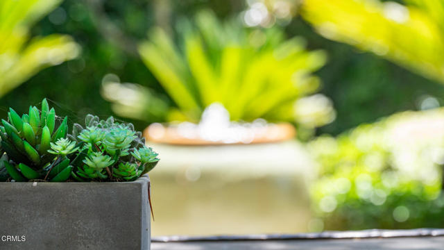 MLS #V1-32042 image #42