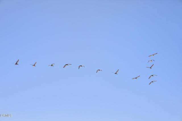 MLS #V1-32084 image #46