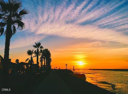 MLS #V1-32084 image #50