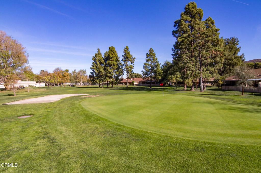 MLS #V1-32126 image #39