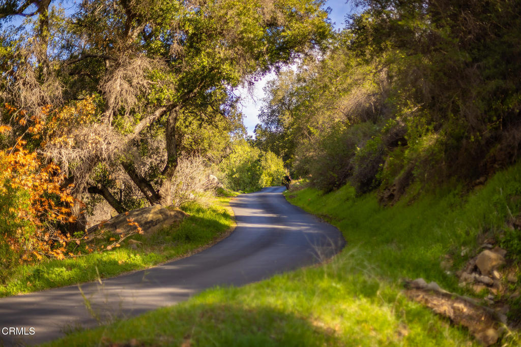 MLS #V1-32137 image #10