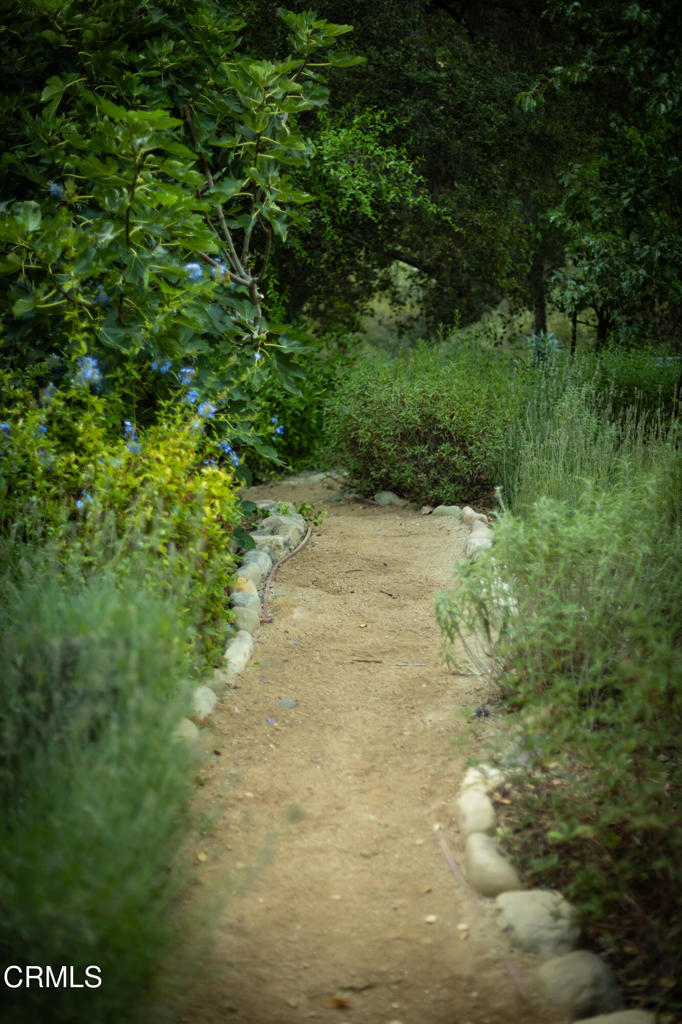 MLS #V1-32137 image #37