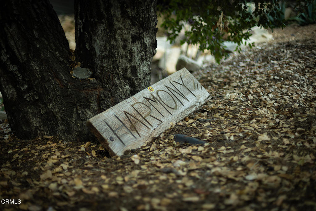 MLS #V1-32137 image #47