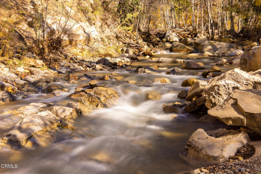 MLS #V1-32137 image #5