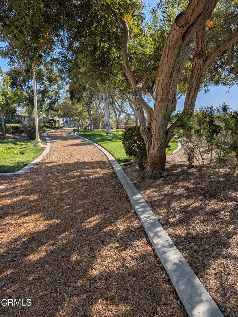 MLS #V1-32195 image #49