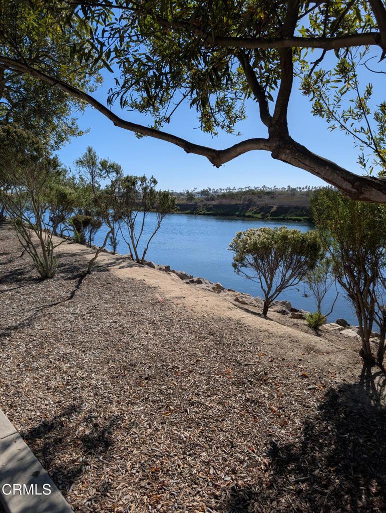 MLS #V1-32195 image #50