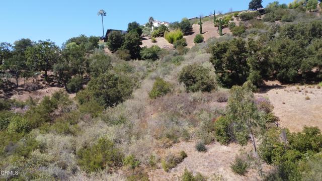 MLS #V1-32199 image #7