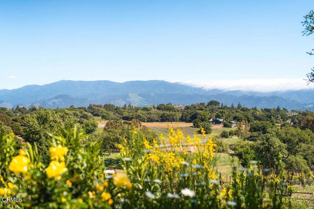 MLS #V1-32204 image #38