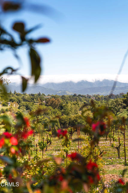 MLS #V1-32204 image #46