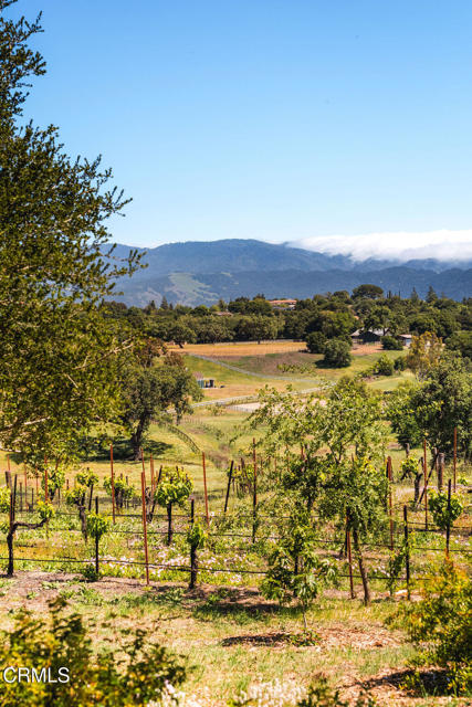 MLS #V1-32204 image #49