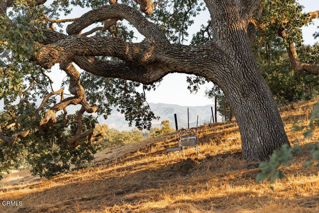 MLS #V1-32204 image #50