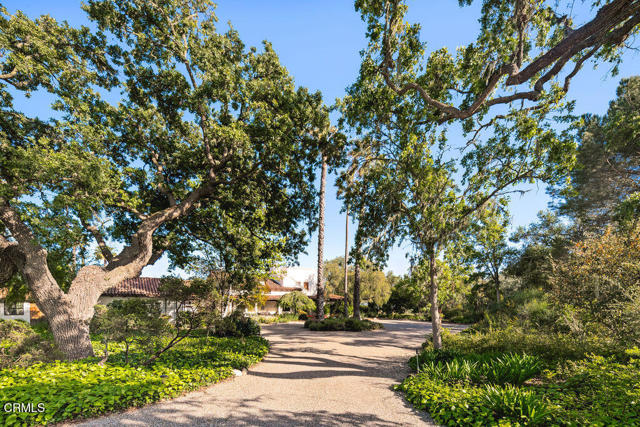 MLS #V1-32204 image #52