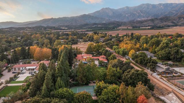 MLS #V1-32206 image #3