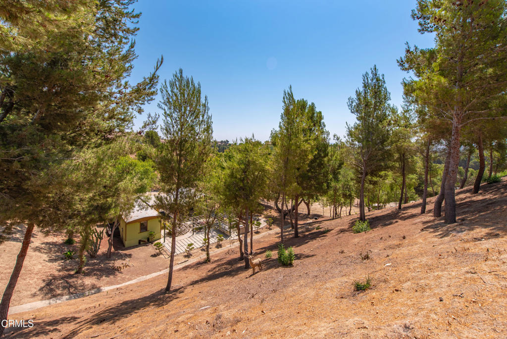 MLS #V1-32210 image #16