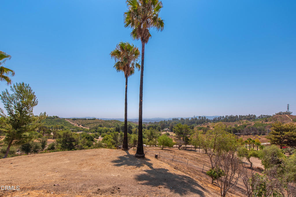 MLS #V1-32210 image #20