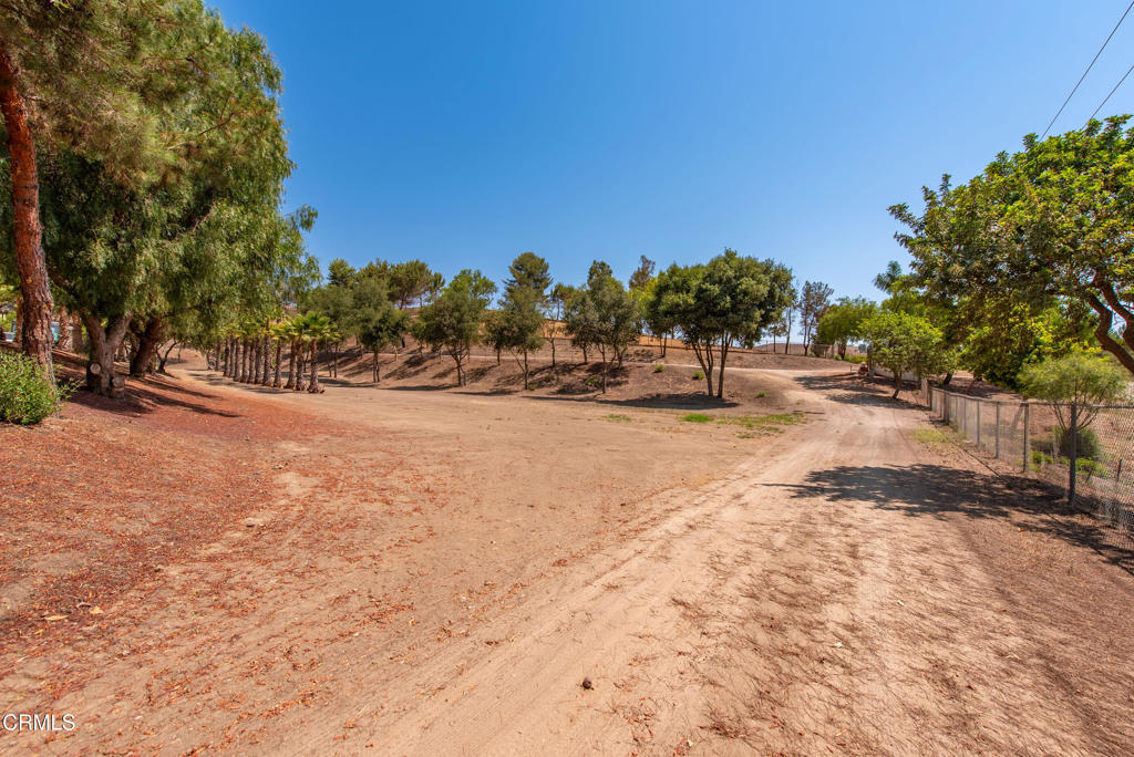 MLS #V1-32210 image #25