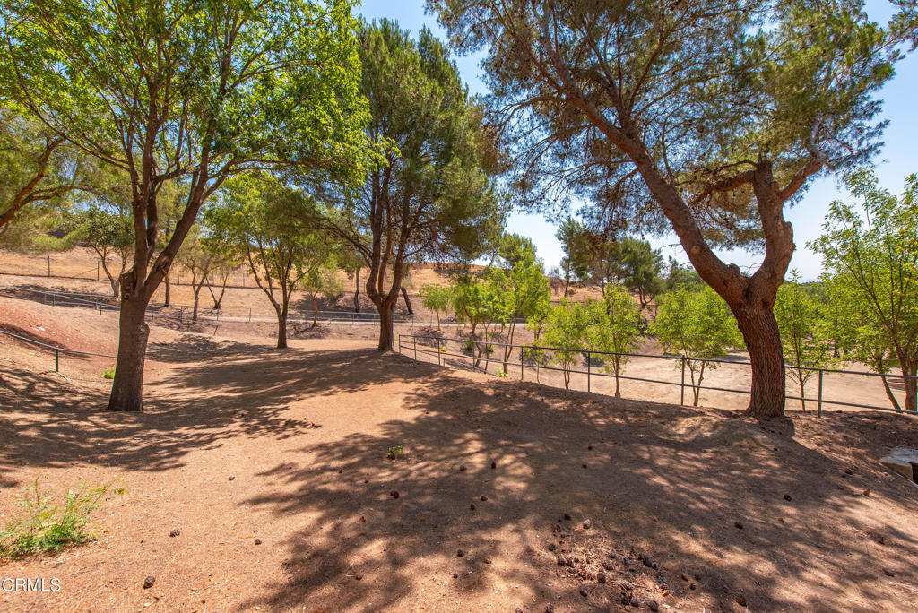 MLS #V1-32210 image #31