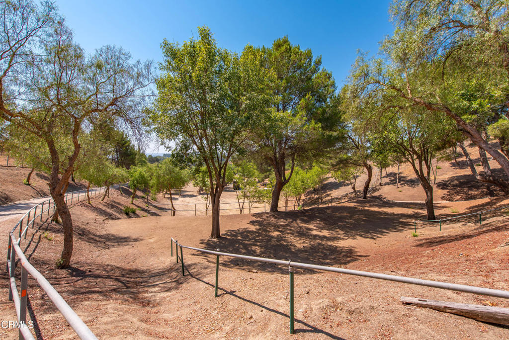 MLS #V1-32210 image #6