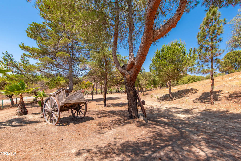 MLS #V1-32210 image #7