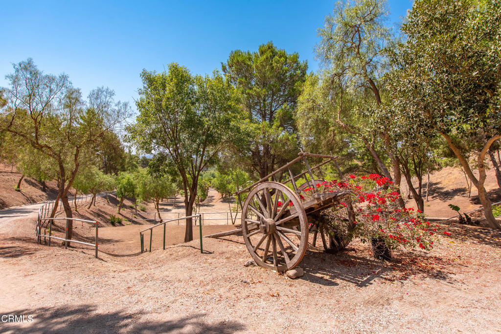 MLS #V1-32210 image #8