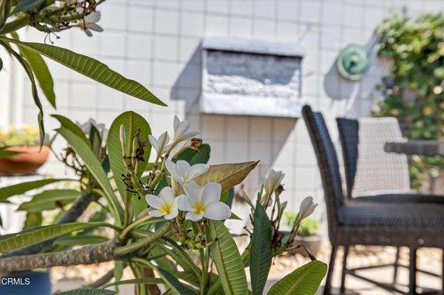 MLS #V1-32281 image #49