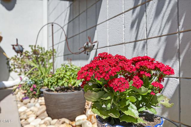 MLS #V1-32281 image #52