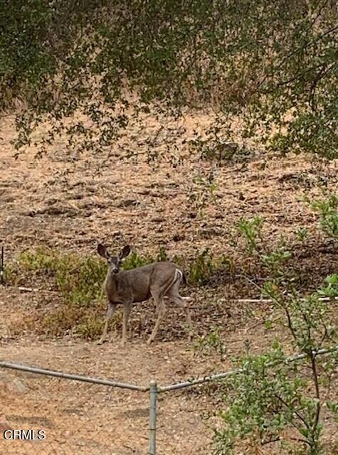 MLS #V1-32322 image #0