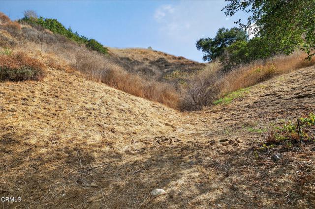 MLS #V1-32322 image #59