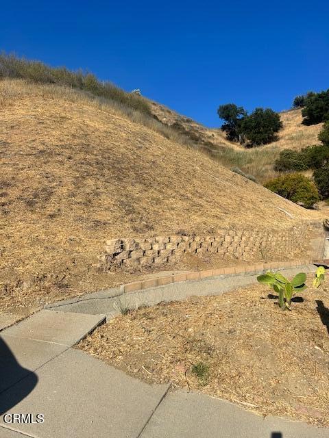 MLS #V1-32322 image #72