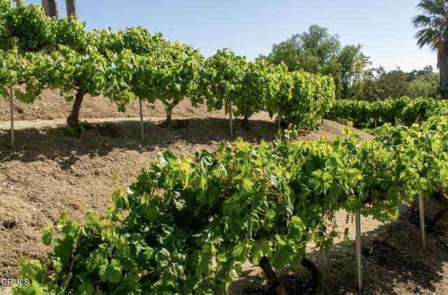 MLS #V1-32335 image #16