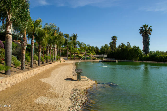 MLS #V1-32335 image #18