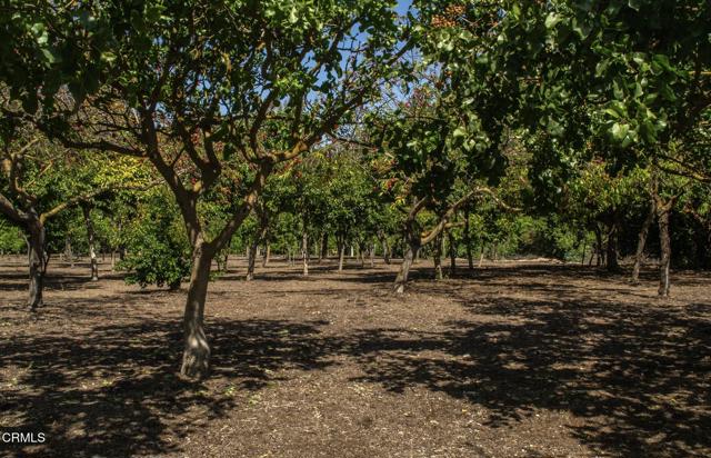 MLS #V1-32335 image #24