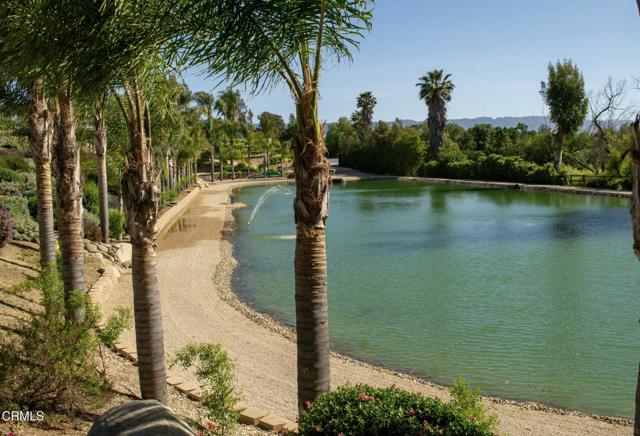 MLS #V1-32335 image #4