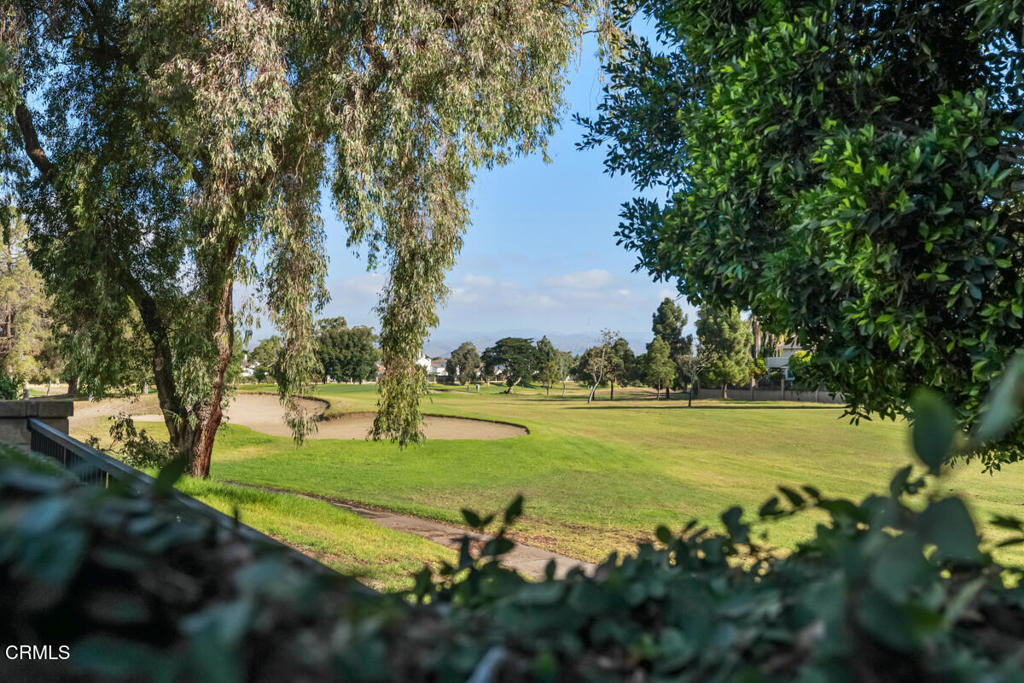 MLS #V1-32364 image #35