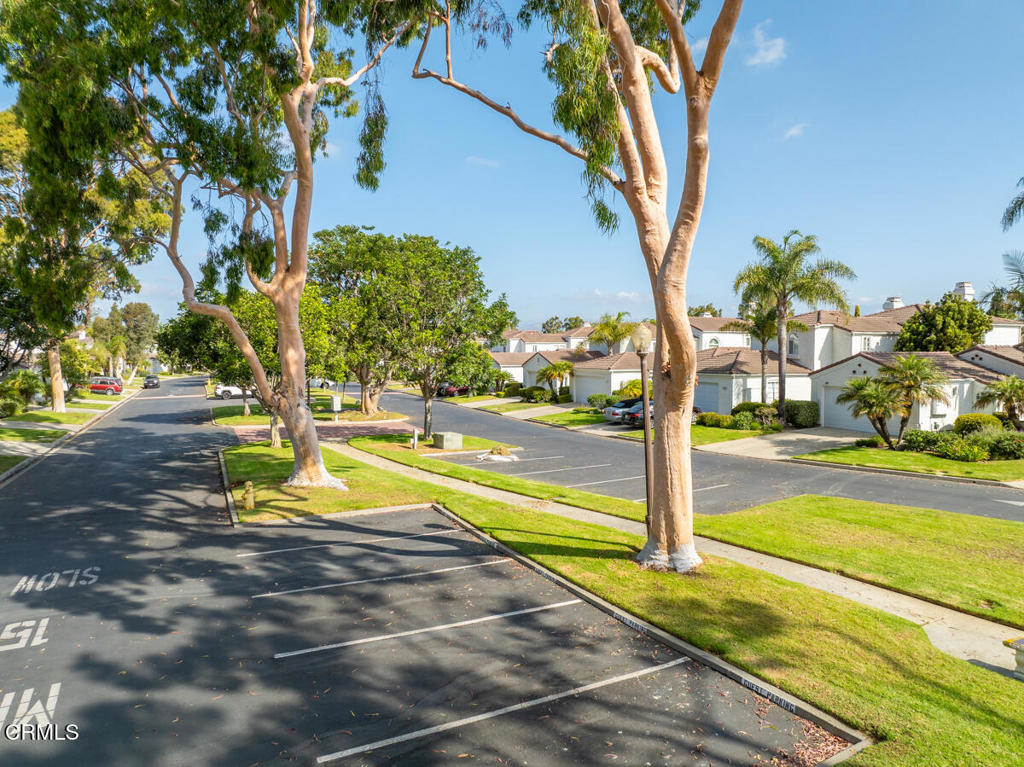 MLS #V1-32364 image #36