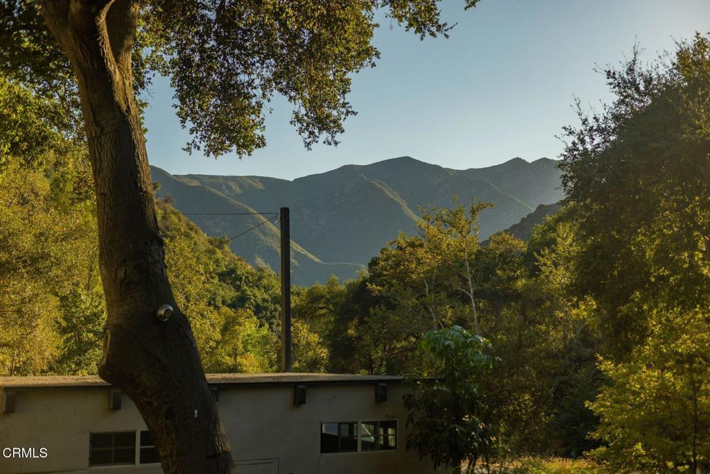 MLS #V1-32413 image #37