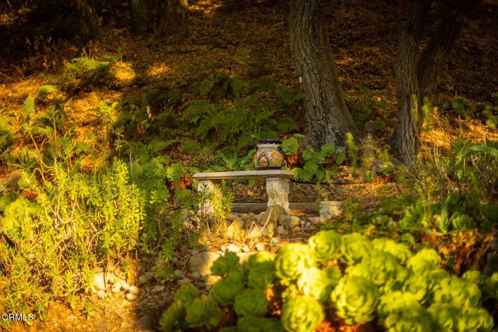 MLS #V1-32413 image #38