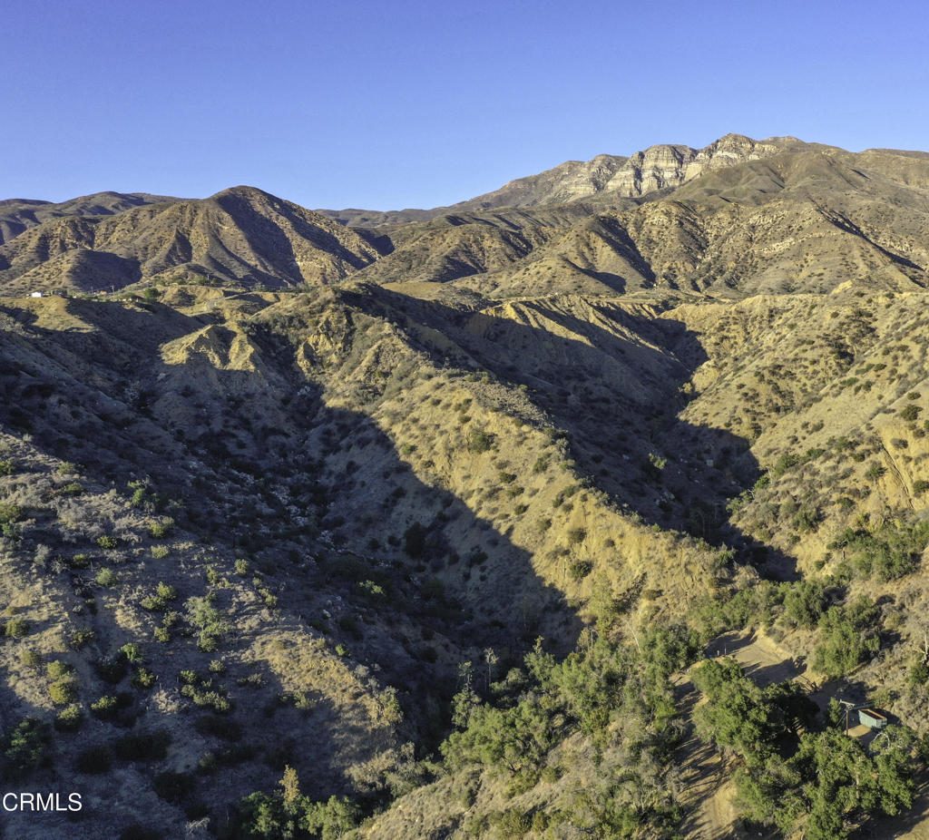 MLS #V1-32431 image #0